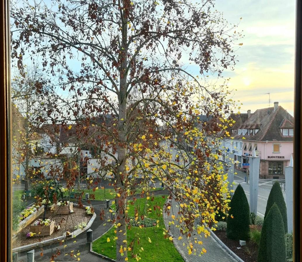 Auberge Syra/ Proche Europa Park Marckolsheim Zewnętrze zdjęcie